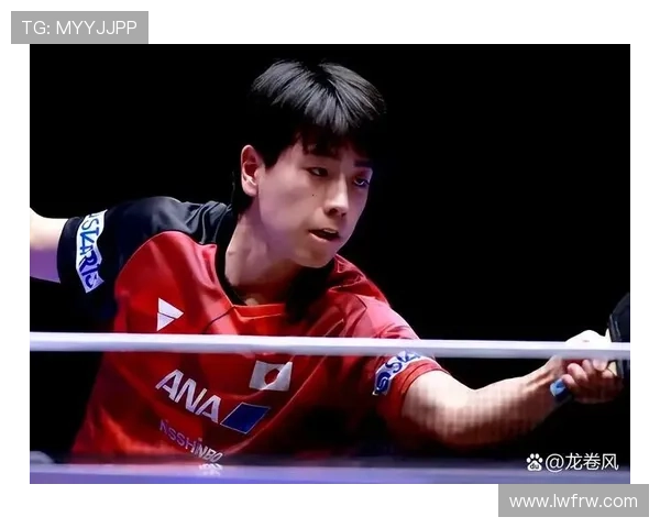 乒乓球德甲球员留洋征战之路与竞技精神的深度剖析 乒乓球德甲球员留洋征战之路与竞技精神的深度剖析