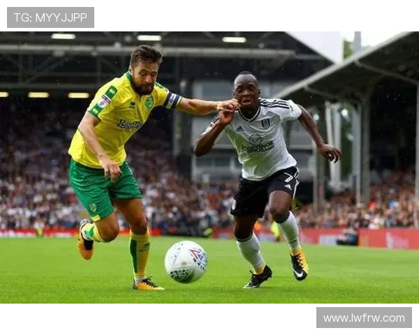卡迪夫城足球俱乐部历史回顾与未来发展展望分析 卡迪夫城足球俱乐部历史回顾与未来发展展望分析